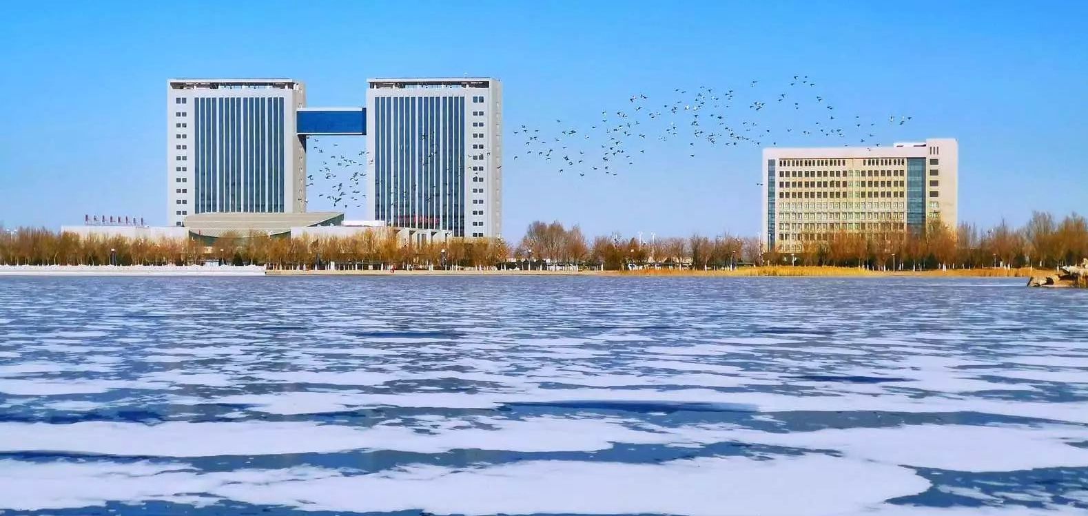 金水湖